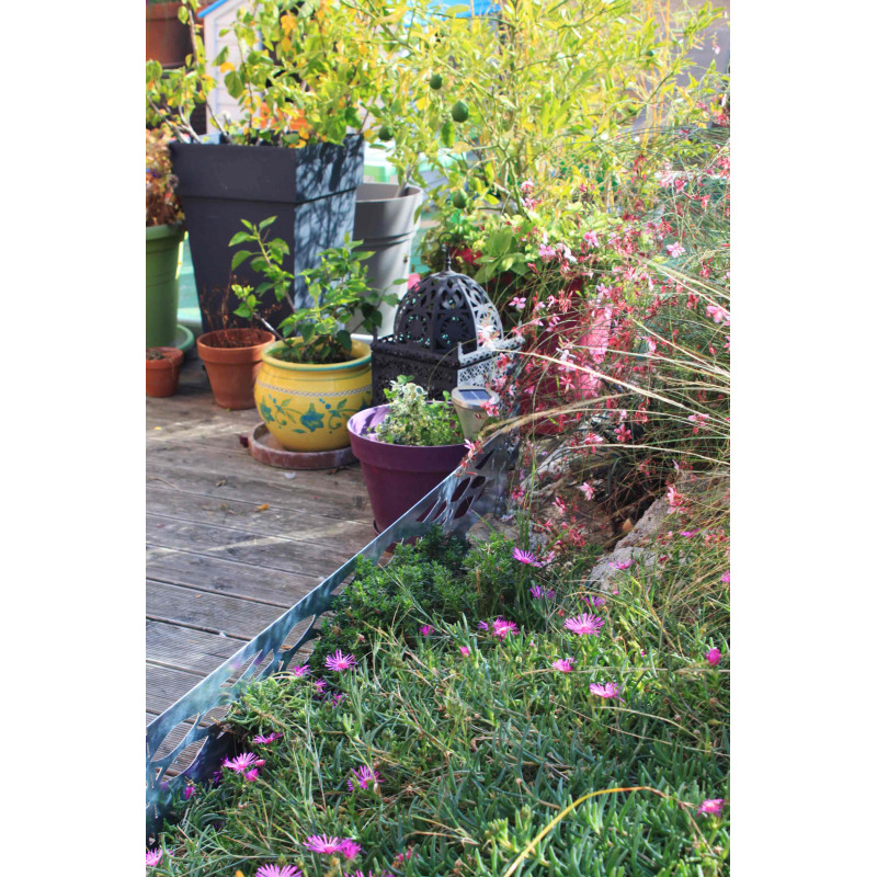 Bordure jardin