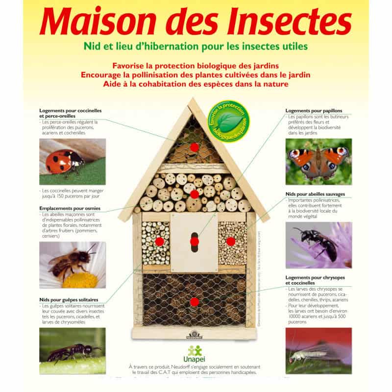 maison des insectes en bois