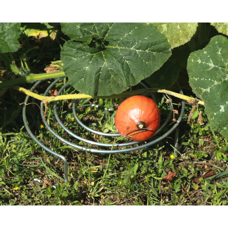 Découvrez le support fraisier en acier galvanisé Jardin et Saisons