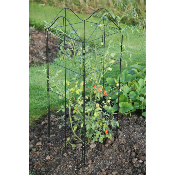 Support Treillis Et Tuteur Plante Grimpante Jardin Et Saisons