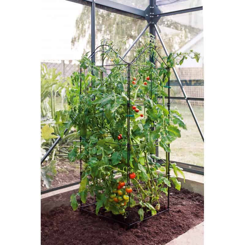 treillis pour plante grimpante support treillis et tuteur plante grimpante jardin et saisons treillis pour plante grimpante support treillis et tuteur plante grimpante jardin et saisons