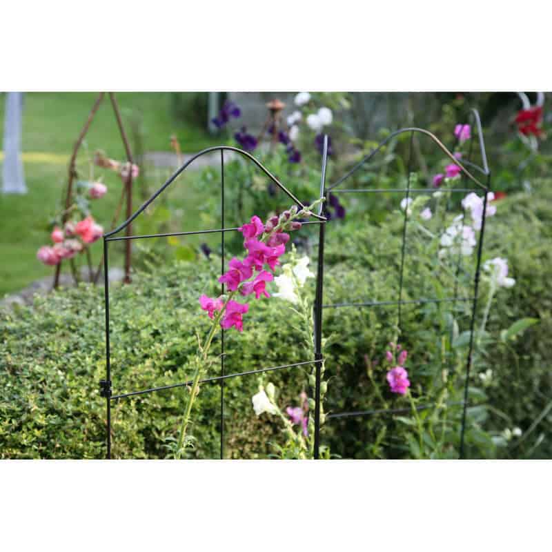 treillis pour plante grimpante support treillis et tuteur plante grimpante jardin et saisons treillis pour plante grimpante support treillis et tuteur plante grimpante jardin et saisons