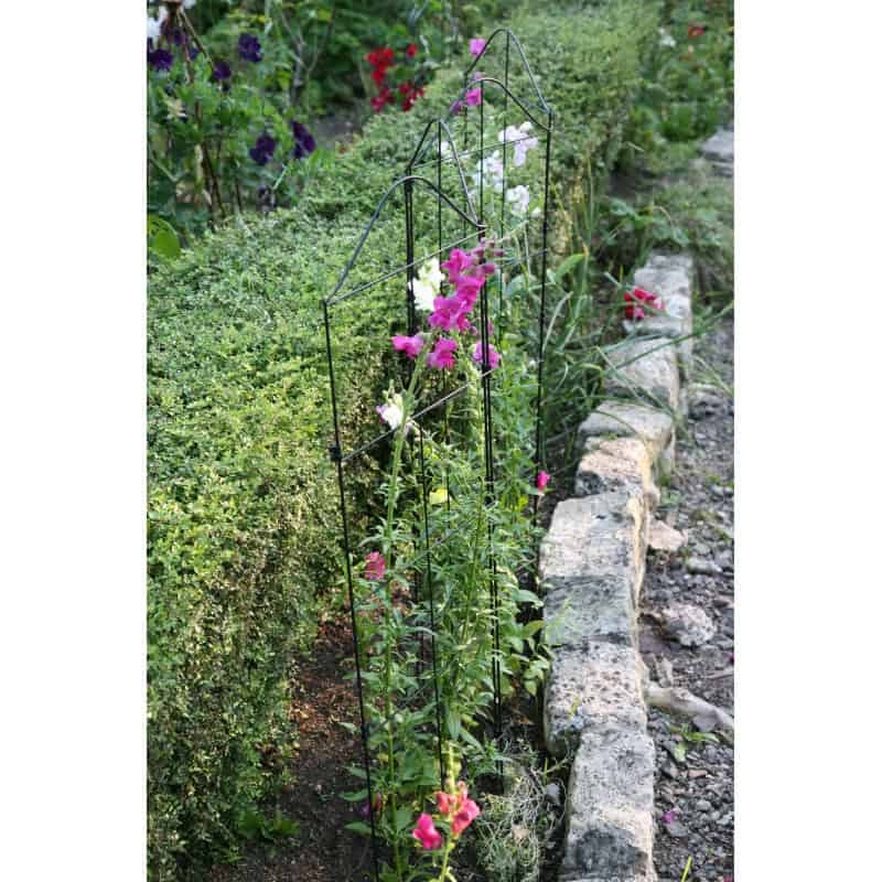 Support treillis et tuteur plante grimpante - Jardin et ...