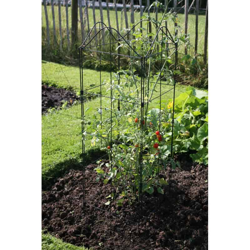 treillis pour plante grimpante support treillis et tuteur plante grimpante jardin et saisons treillis pour plante grimpante support treillis et tuteur plante grimpante jardin et saisons