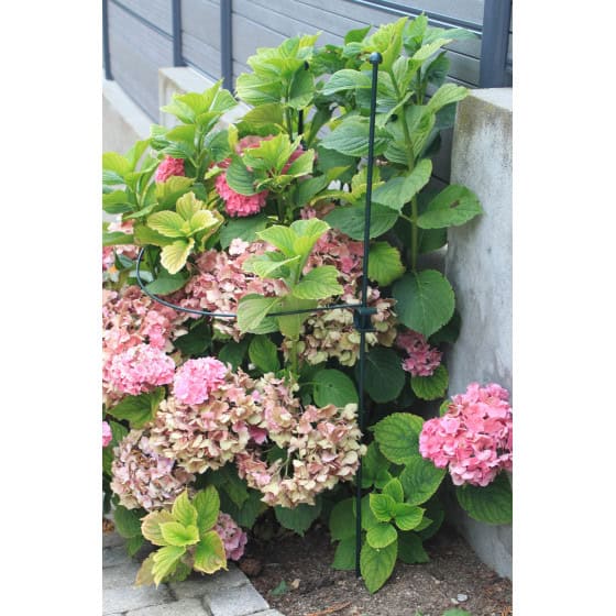 Optez Pour Le Tuteur Anneau Diametre 65 Cm Reglable Jardin Et Saisons