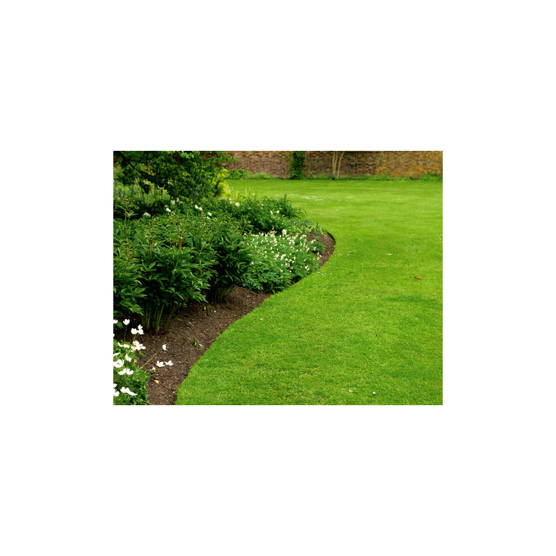 Tapis Anti Racine Enredada