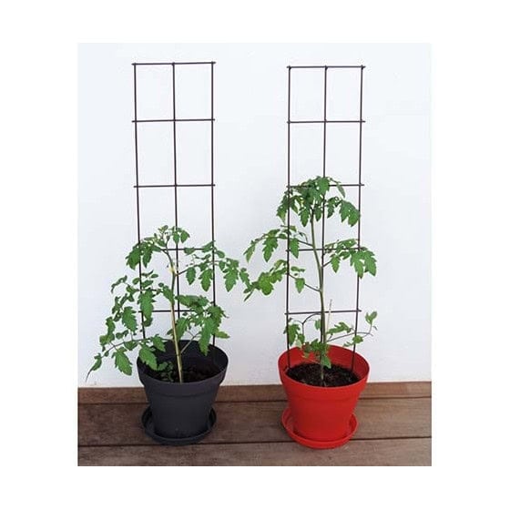 treillis pour plante grimpante tuteur support de plantes en fer vieilli 224 planter jardin et saisons treillis pour plante grimpante tuteur support de plantes en fer vieilli 224 planter jardin et saisons