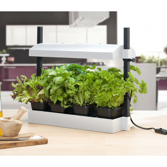 Mini serre d\'intérieur avec lampe de croissance - Jardin et Saisons Mini serre d\'intérieur avec lampe de croissance - Jardin et Saisons