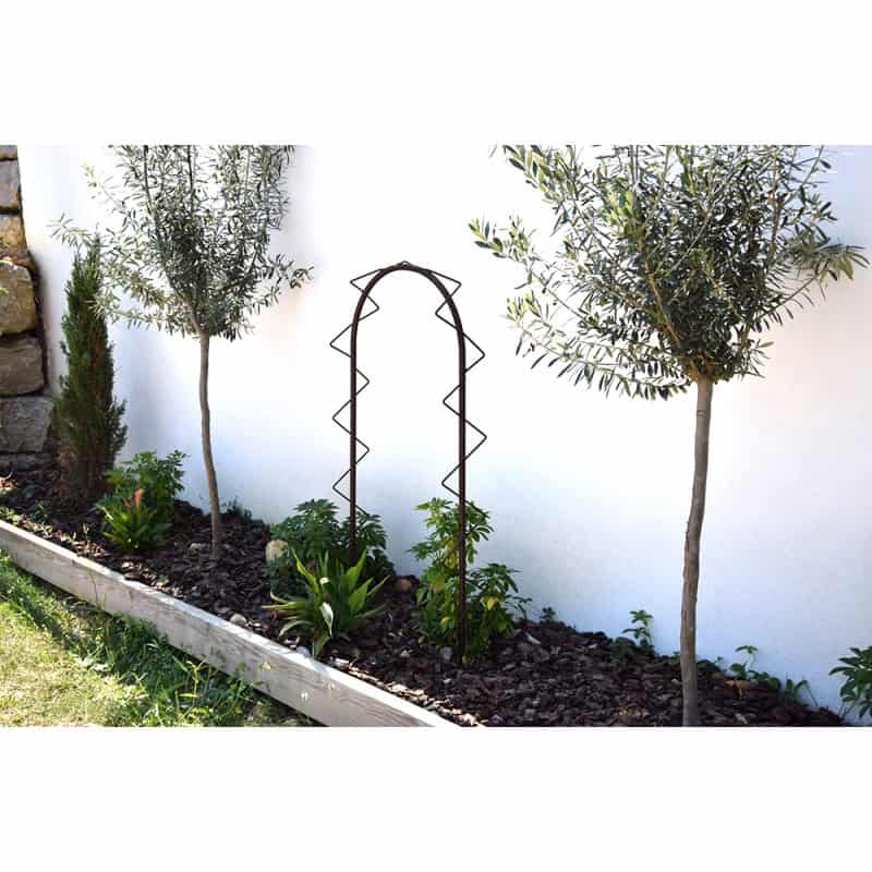 Petite Arche De Jardin Pour Plantes Grimpantes En Acier Fer Vieilli