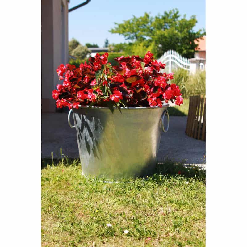 Pot Plante Interieur Design Porte Plante Et Support Pot De Fleur