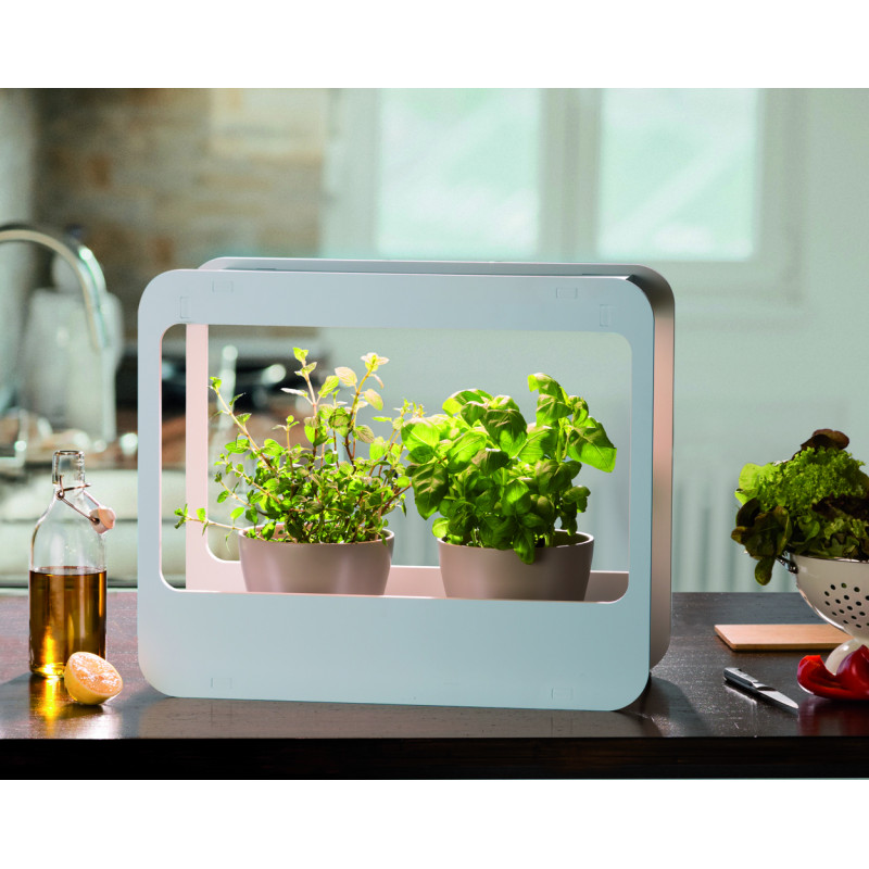 D'intérieur Et Mini À Découvrez Led Le De Saisons Jardin ZukTwXOPi