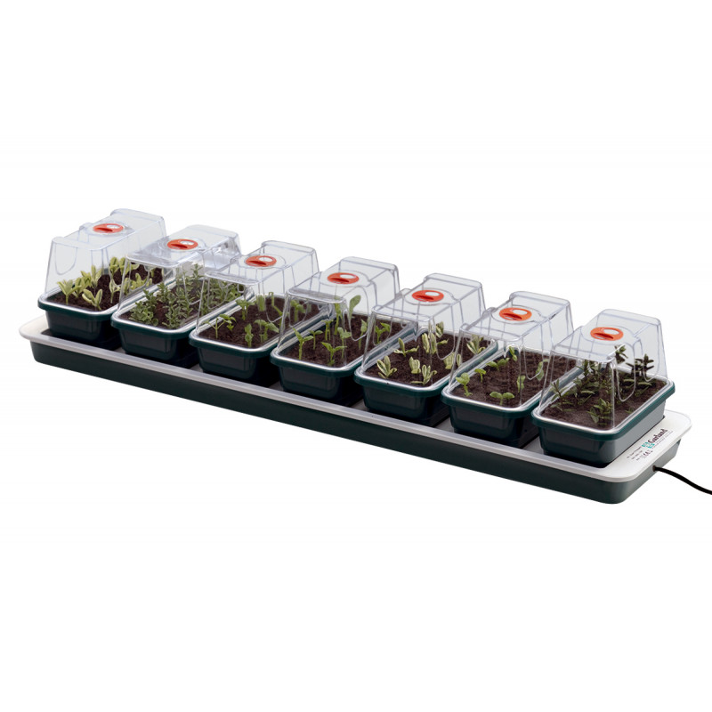 jardin et saisons mini serre chauffante pour semis jardin et saisons mini serre chauffante pour semis