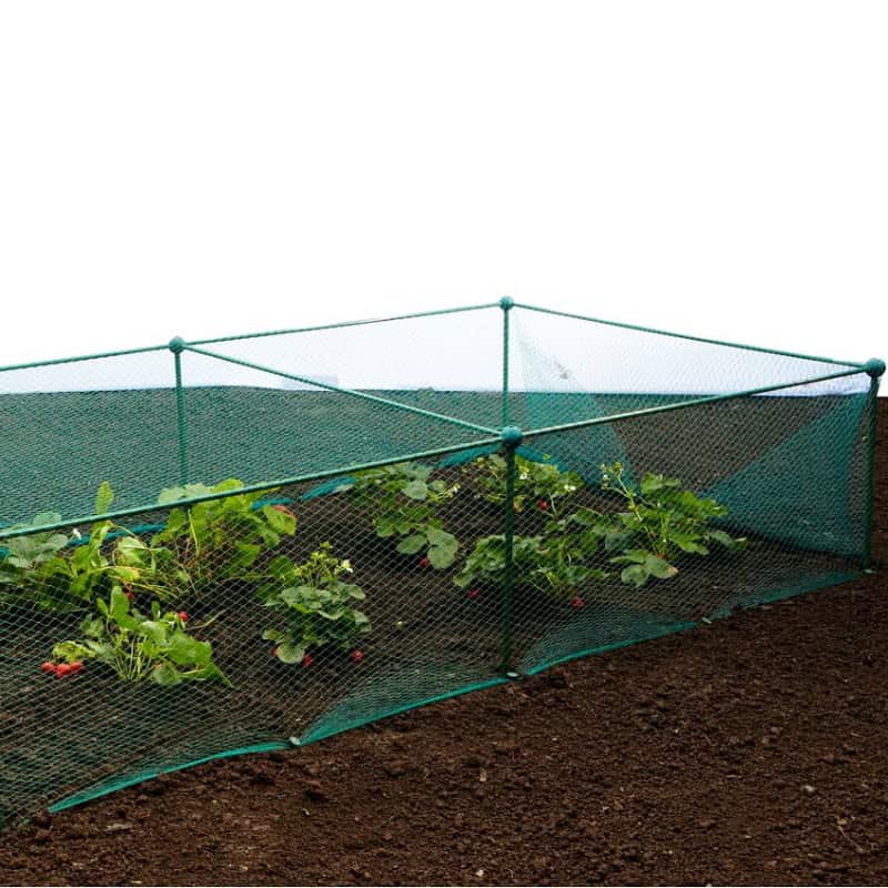 Filet De Protection Pour Potager 2x1 M Jardin Et Saisons