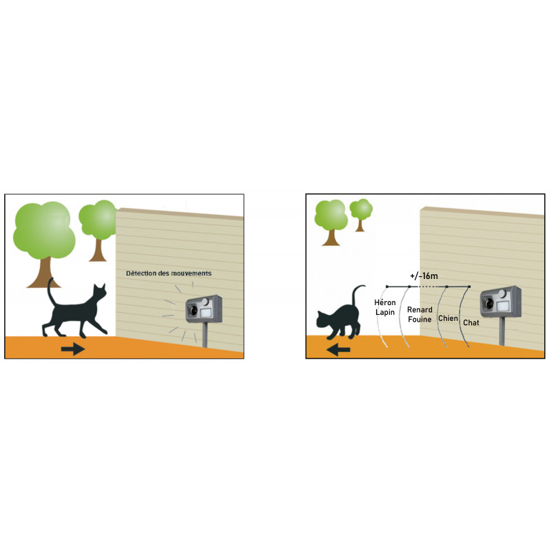 Optez Pour Un Repulsif Ultrason Chat Et Chien De Jardin Et Saisons Optez Pour Un Repulsif Ultrason Chat Et Chien De Jardin Et Saisons