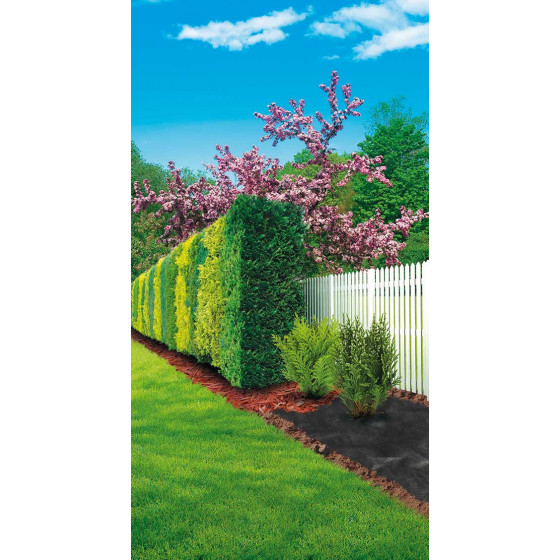 Bâche anti mauvaise herbe spéciale haie 20 x 0,5 m Bâche anti mauvaise herbe spéciale haie 20 x 0,5 m