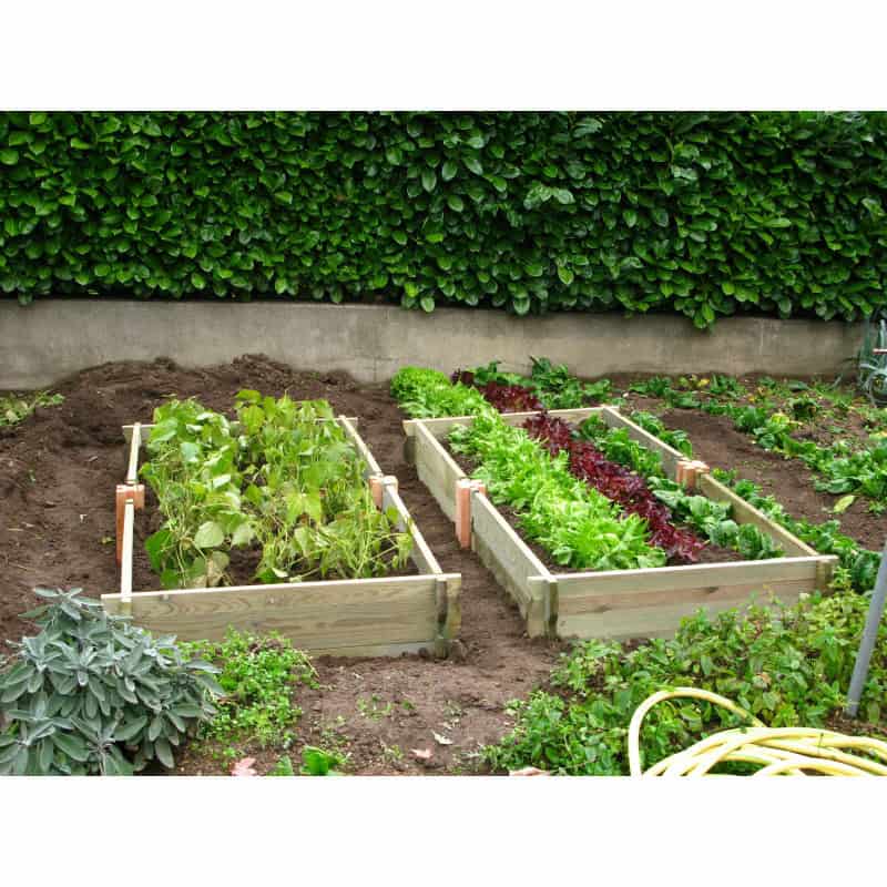 Jardin Potager En Bois le potager de jardin rectangulaire en bois non trait 233 Jardin Potager En Bois le potager de jardin rectangulaire en bois non trait 233