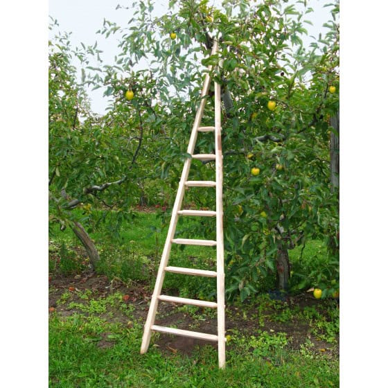 Echelle arboricole en bois 2,45 m Echelle arboricole en bois 2,45 m
