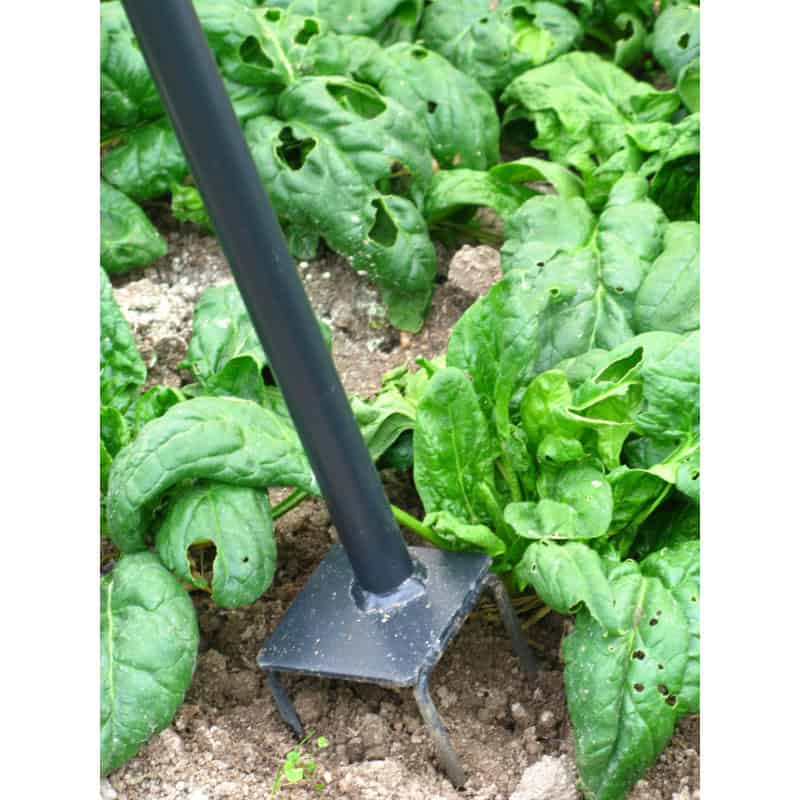 Griffe de jardin