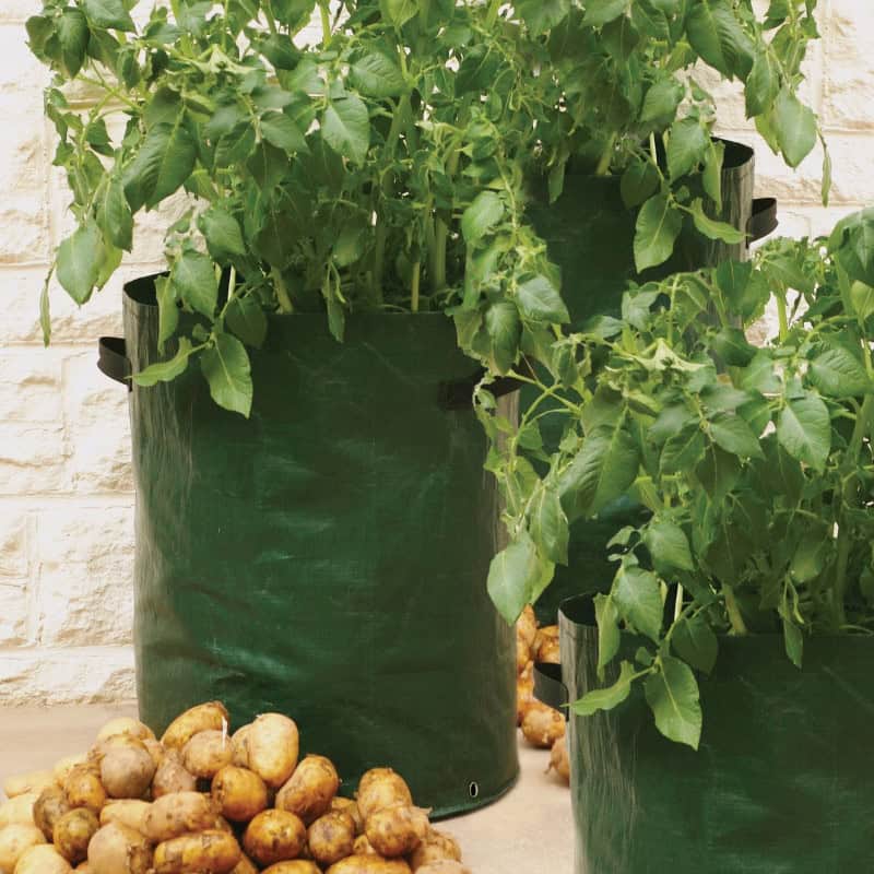 Votre sac à plantation pour pommes de terre chez Jardin et Saisons