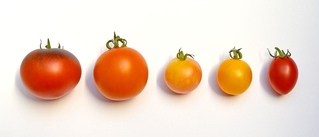 Images Les Conseils Pratiques De Jardin Et Saisons Pour Cultiver Ses salutations